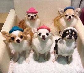 火币钱包手机下载