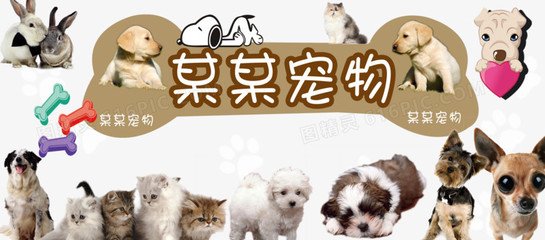 tp钱包手机官网app