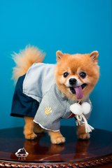 imToken官方网址