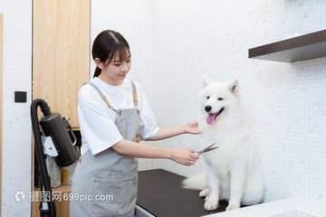 imtuken钱包