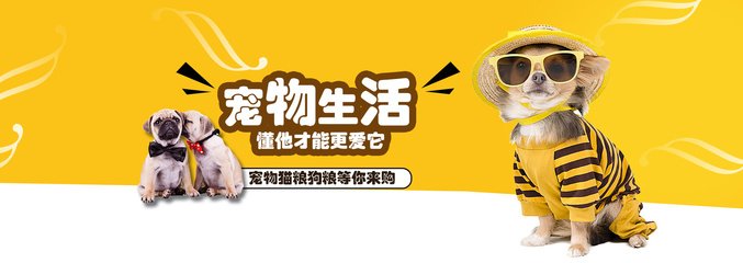 全球十大冷钱包