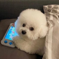 imtoken删除交易记录
