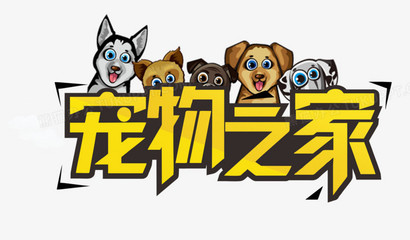 tokenall下载最新版
