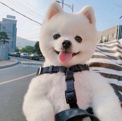 okex交易所xch